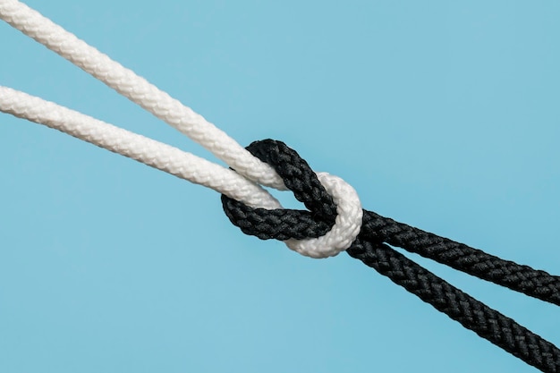 Premium Photo  Rope knot on white background concept for unity