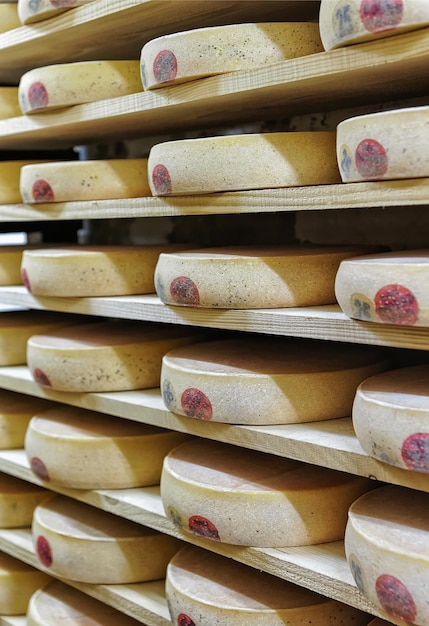 Rack of aging Gruyere de Comte Cheese on wooden shelves in ripening cellar in Franche Comte creamery in France