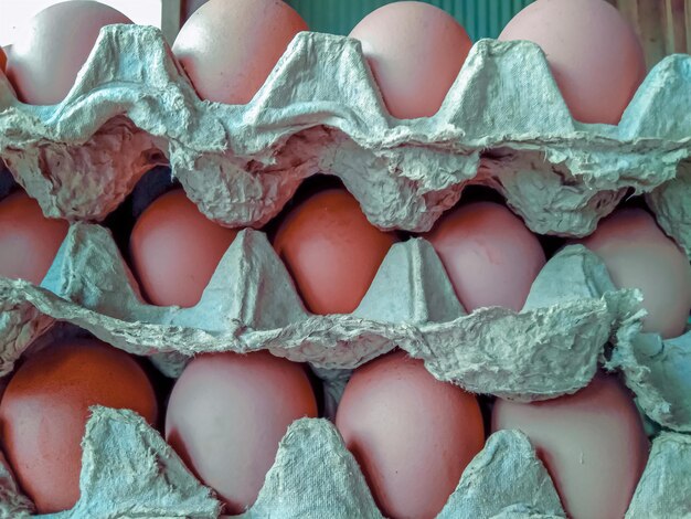 The rack is filled with chicken eggs