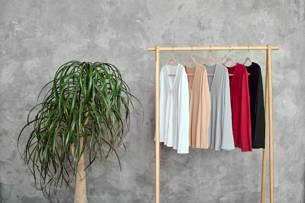 A rack with stylish colored clothes in a modern dressing room next to a houseplant