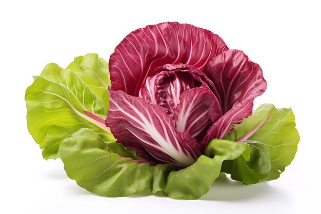 Photo radicchio isolated on white background