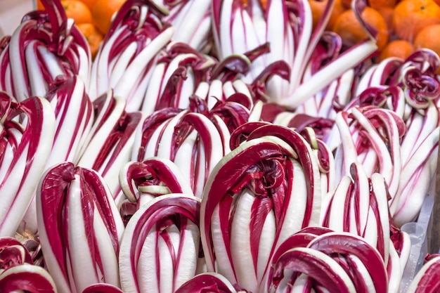 Radicchio tardivo rode salade gezonde groenten op de markt