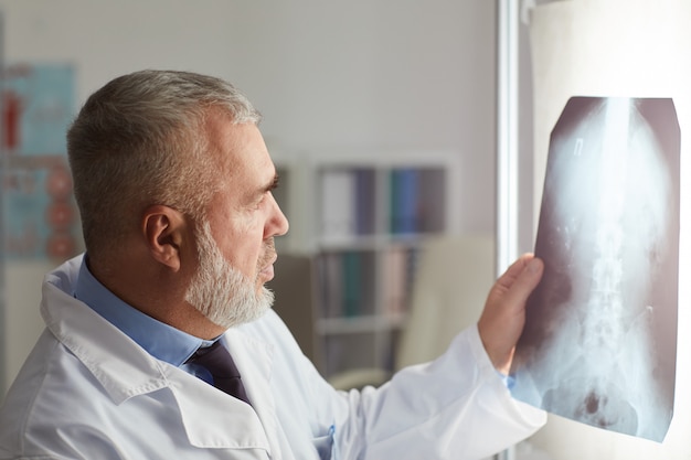 Radiologist working with x-ray image