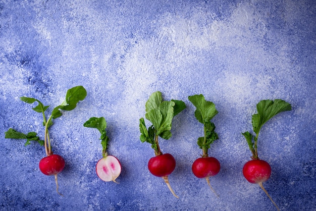 Radish on blue concrete table