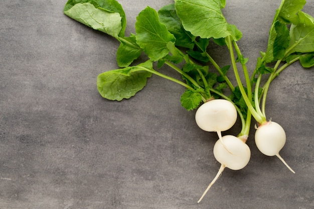 Radish fresh on the gray background.