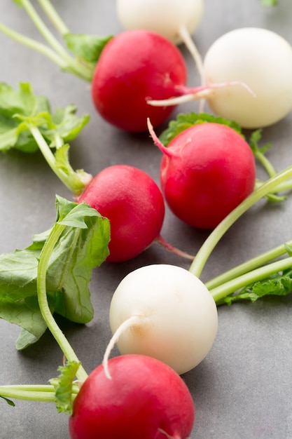 Radish fresh on the gray background.