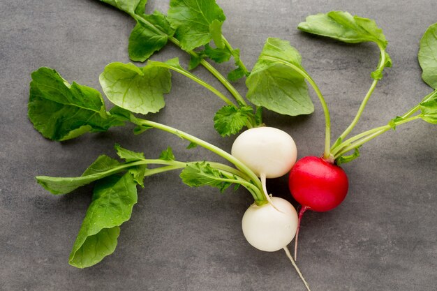 Radish fresh on the gray background.