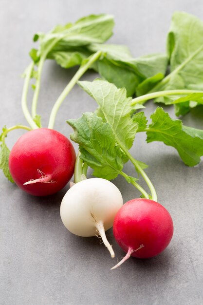 Photo radish fresh on the gray surface.