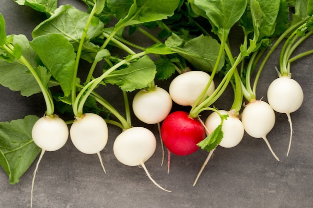 Radish fresh on the gray