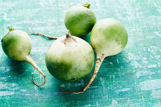 Radish on a green shabby background. Side view.