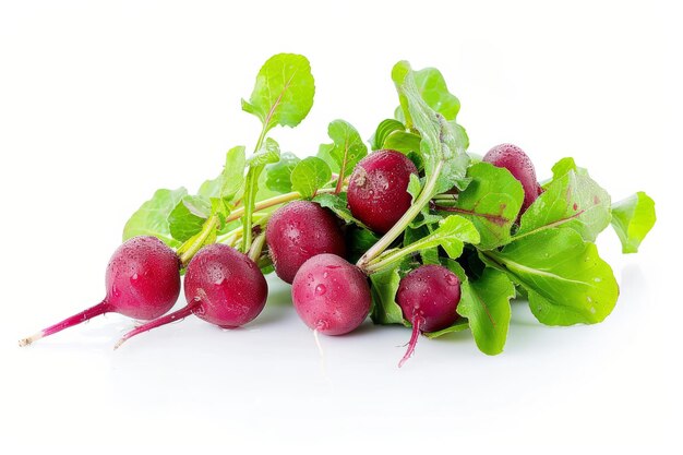 Radish isolated on white background