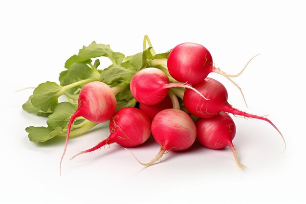 Radish Isolated White Background