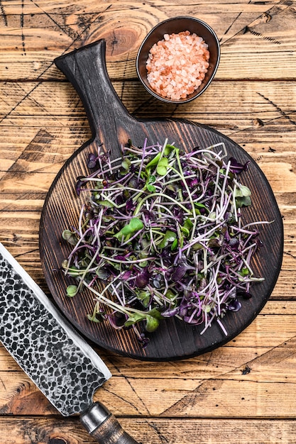 Radish microgreens, green leaves and purple stems