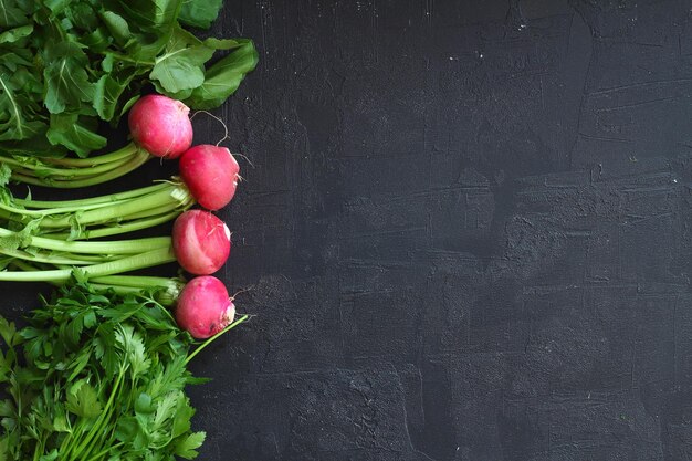 Radish parsley arugula on a black background