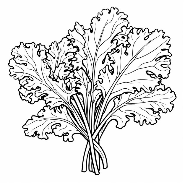 radish plant coloring page