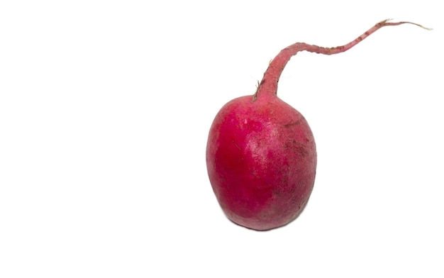 Radish on a white background Harvest from a personal plot