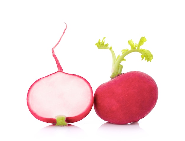 radish on white background