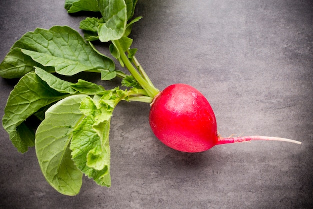 Radish.