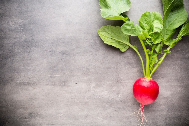 Radish.