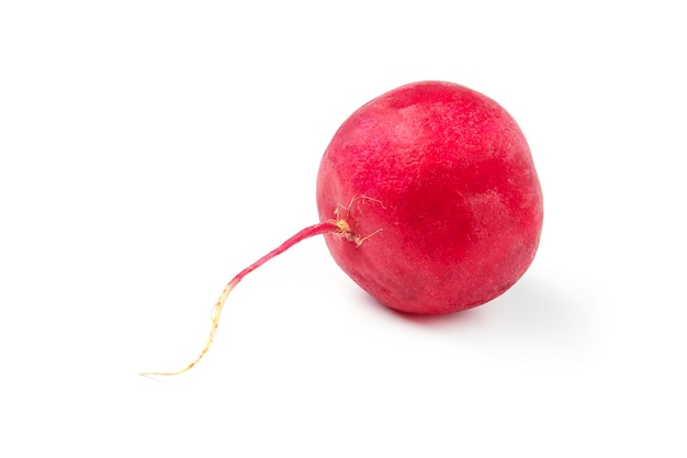 Radish