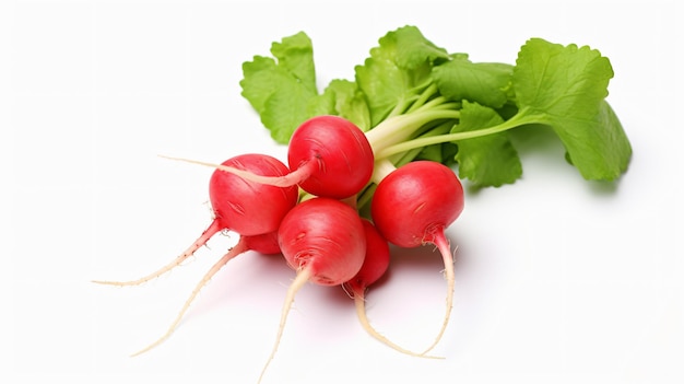 Radish