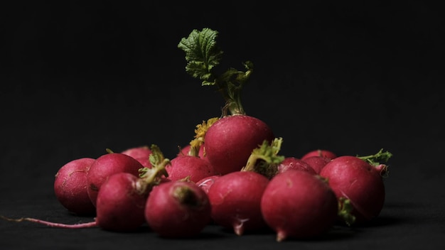 Radishes on black background close up view. Dark food