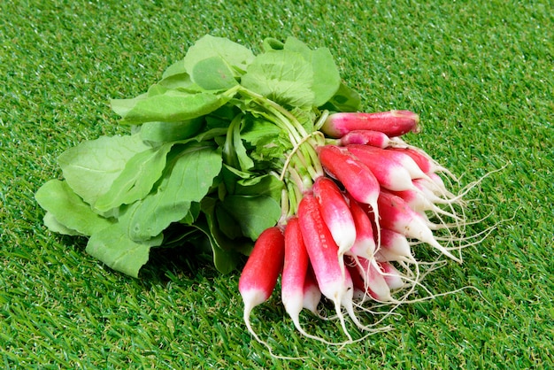 Radishes on grass