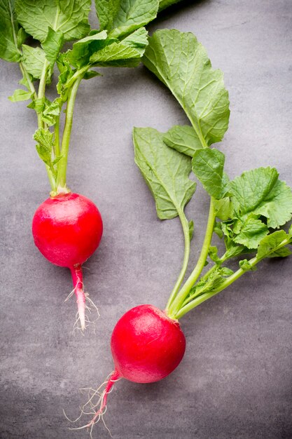 Radishes on the grey background. Still life.