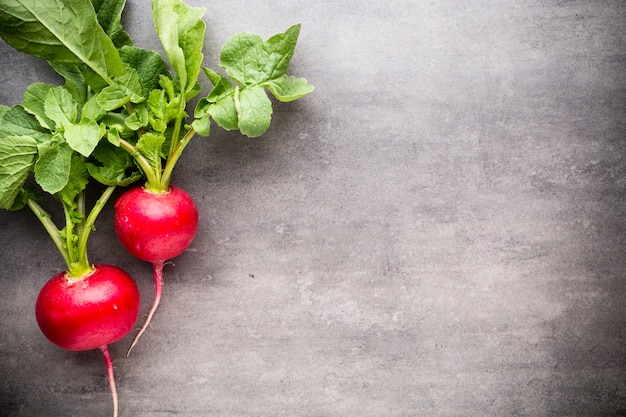 Radishes on the grey background. Still life.