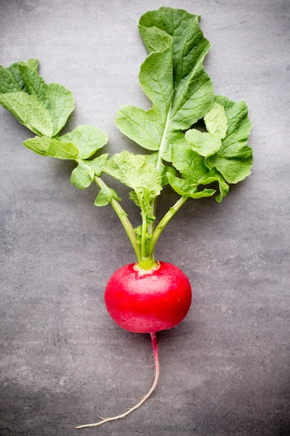 Radishes on the grey surface. Still life.