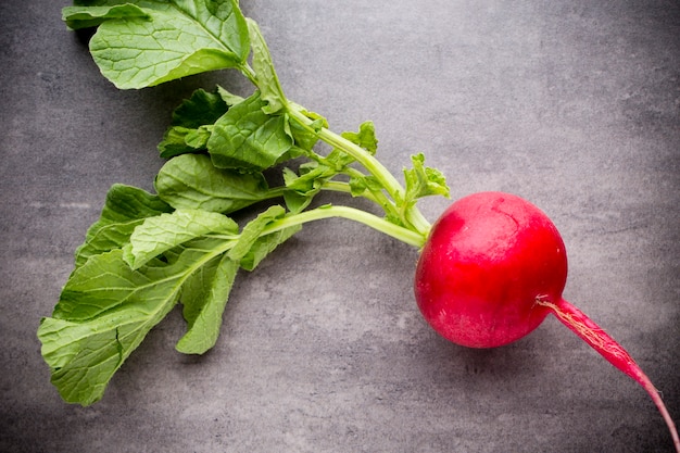 Radishes on the grey surface. Still life.