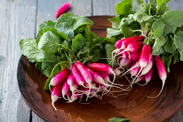 Radishes on a plate