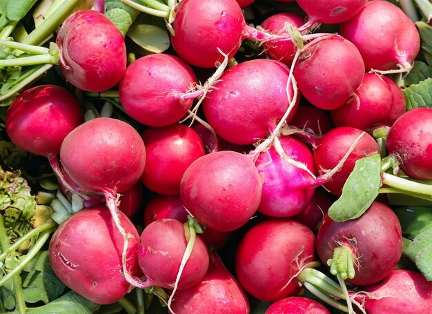 radishes top view