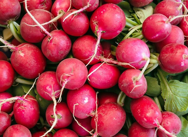 radishes top view