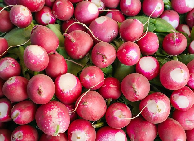 radishes top view