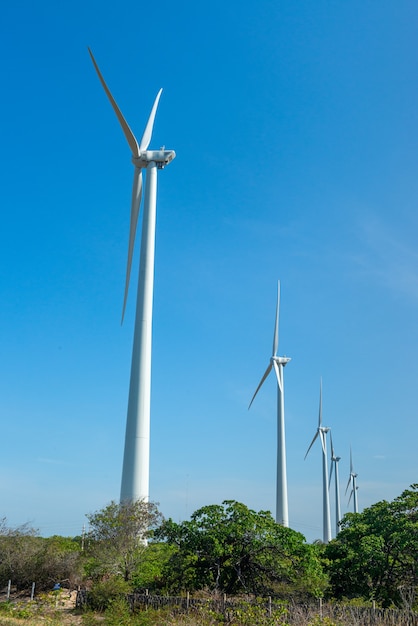 Raft in the sea and wind turbines in Aracati near Fortaleza Ceara Brazil