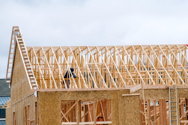 rafters and walls of a plywood house