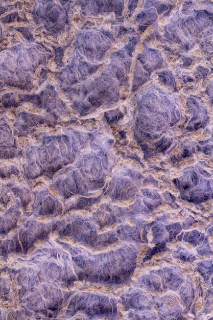 Rag color purple dirty old cloth texture