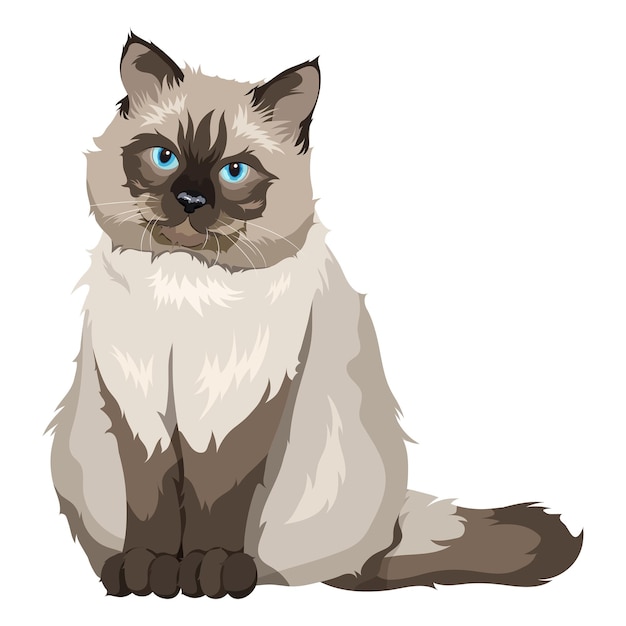Наклейка с иллюстрацией ragdoll cat png прозрачный фон