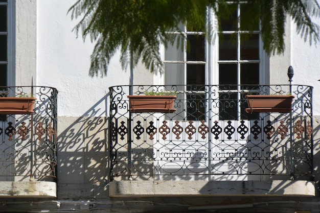 Railing tegen bomen