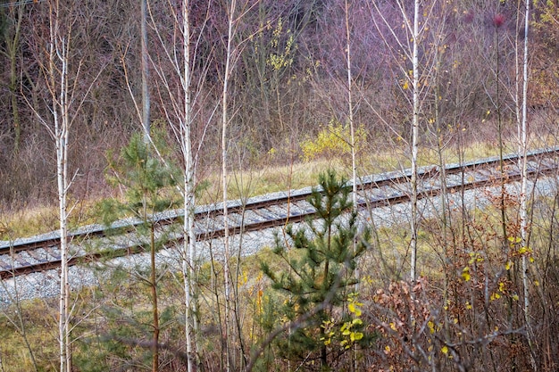 Железнодорожное полотно в лесу у деревьев во время поздней осени