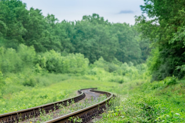 森を抜ける鉄道