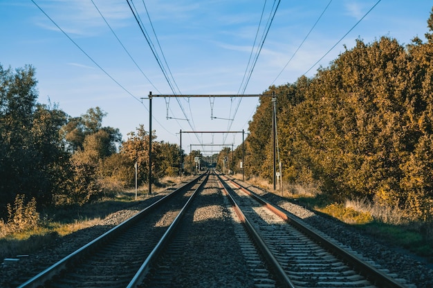 Railroad perspective view in forest with blue sky