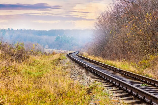 色とりどりの秋の木々が生い茂る森の中を走る鉄道