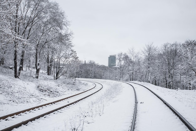 晴れた青空の下の雪の中の鉄道