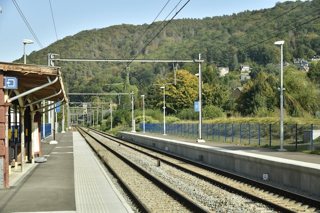 写真 天空に照らされた木々による鉄道駅のプラットフォーム