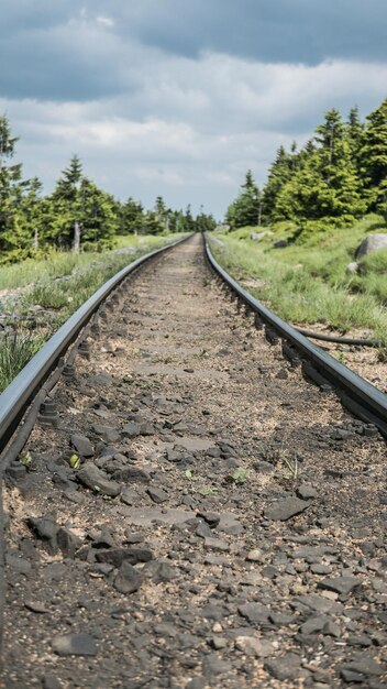 Railroad track amidst trees against sky