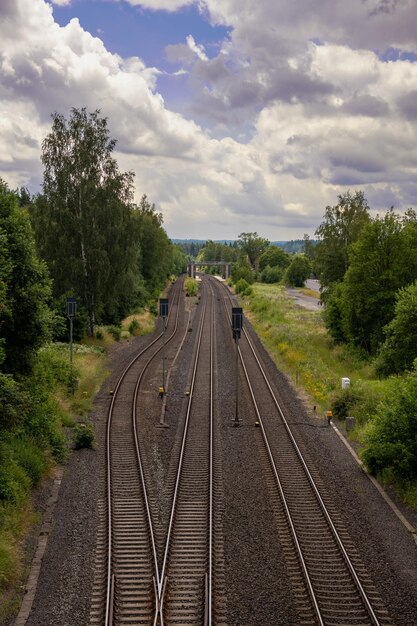 Railroad track amidst trees against sky