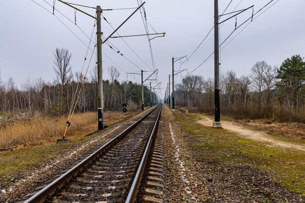 Railroad track and electrical power line in the forest at autumn