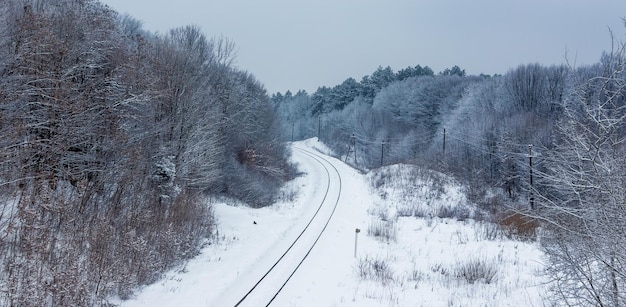 Railroad track among snowy trees in forest, top view_